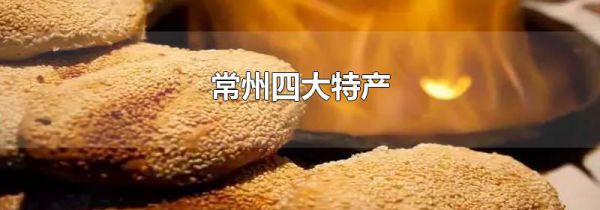 常州四大特产
