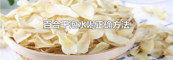 百合干泡水喝正确方法