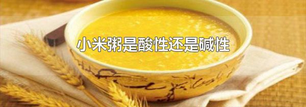 小米粥是酸性还是碱性