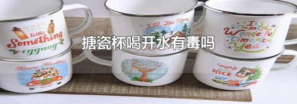 搪瓷杯喝开水有毒吗