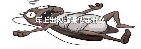 床上出现蟑螂代表什么