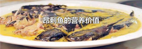 昂刺鱼的营养价值