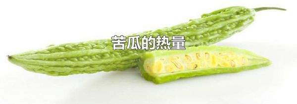 苦瓜的热量