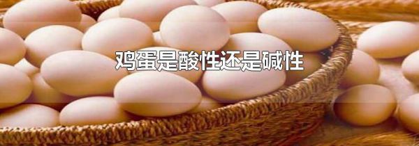 鸡蛋是酸性还是碱性