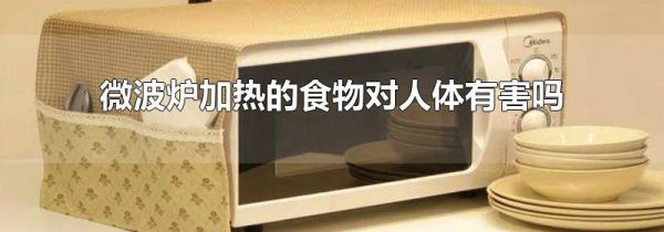 微波炉加热的食物对人体有害吗