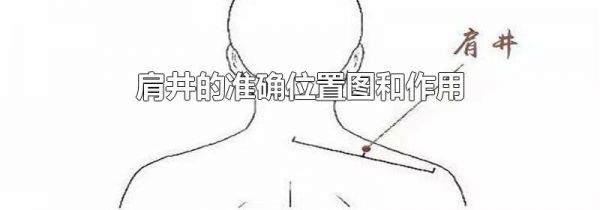肩井的准确位置图和作用
