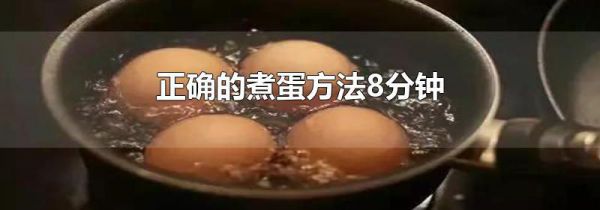 正确的煮蛋方法8分钟