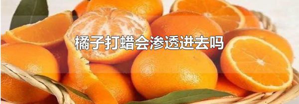 橘子打蜡会渗透进去吗