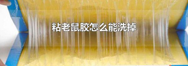 粘老鼠胶怎么能洗掉
