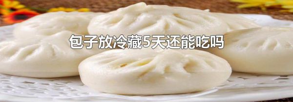 包子放冷藏5天还能吃吗