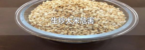生炒大米危害
