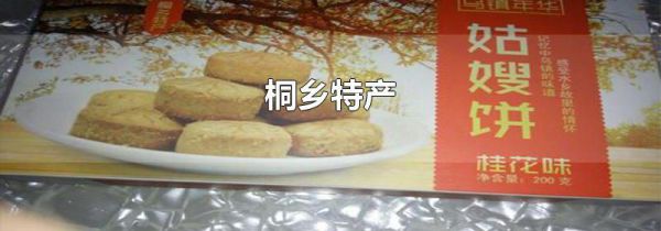 桐乡特产