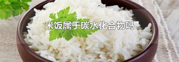 米饭属于碳水化合物吗