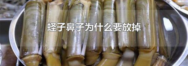 蛏子鼻子为什么要放掉
