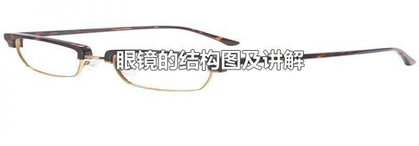 眼镜的结构图及讲解
