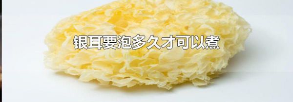 银耳要泡多久才可以煮