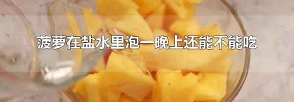 菠萝在盐水里泡一晚上还能不能吃
