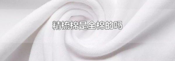 精梳棉是全棉的吗