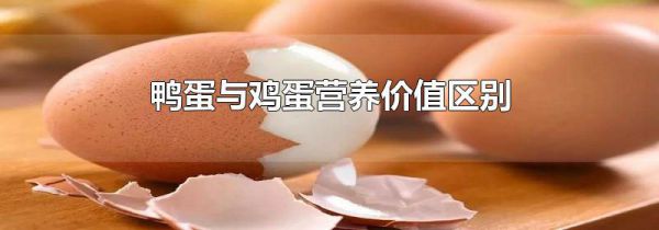 鸭蛋与鸡蛋营养价值区别