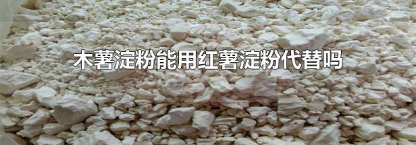 木薯淀粉能用红薯淀粉代替吗