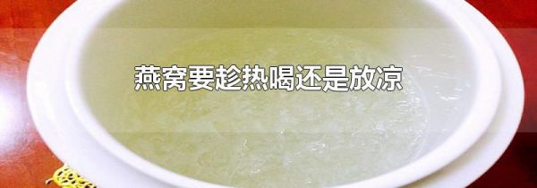 燕窝要趁热喝还是放凉