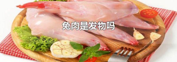 兔肉是发物吗