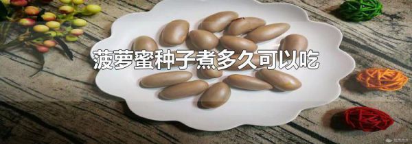 菠萝蜜种子煮多久可以吃