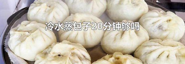 冷水蒸包子20分钟够吗