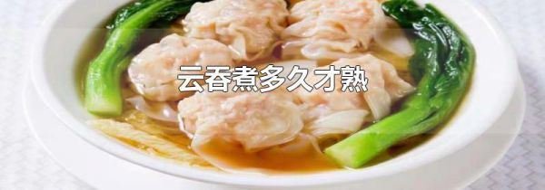 云吞煮多久才熟