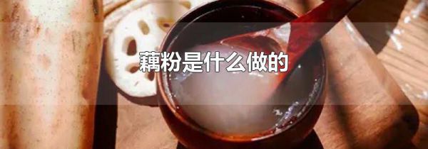 藕粉是什么做的