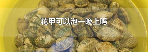花甲可以泡一晚上吗