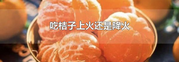 吃桔子上火还是降火