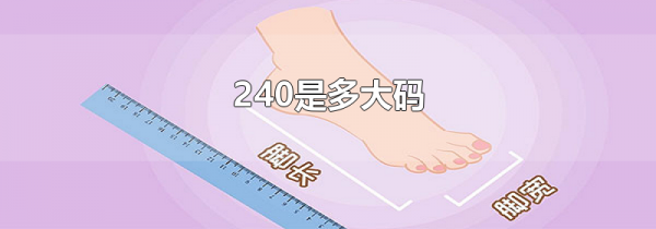 240是多大码