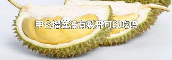 甲仑榴莲没有裂开可以吃吗