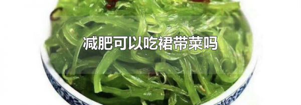 减肥可以吃裙带菜吗