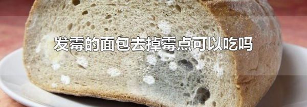 发霉的面包去掉霉点可以吃吗