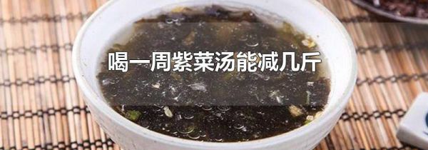 喝一周紫菜汤能减几斤