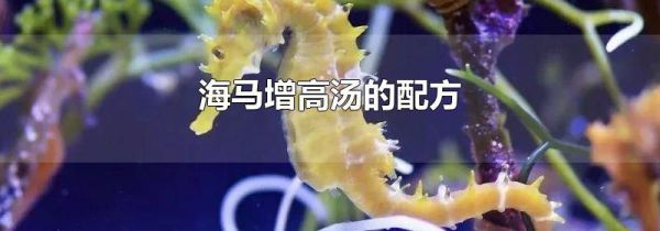 海马增高汤的配方