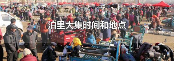 泊里大集时间和地点