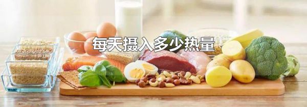 每天摄入多少热量