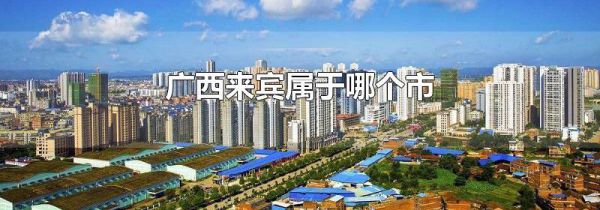 广西来宾属于哪个市