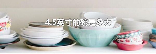 4.5英寸的碗是多大