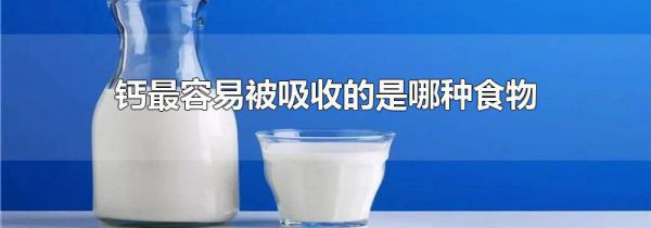 钙最容易被吸收的是哪种食物