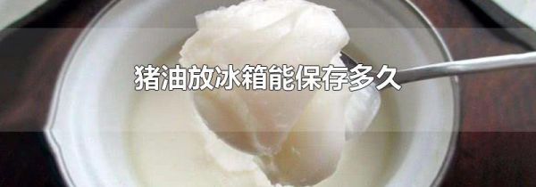 猪油放冰箱能保存多久