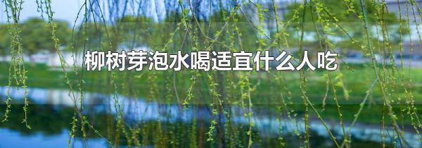 柳树芽泡水喝适宜什么人吃