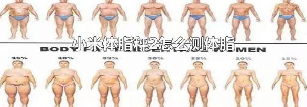 小米体脂秤2怎么测体脂