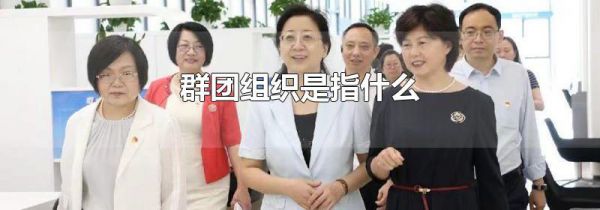 群团组织是指什么