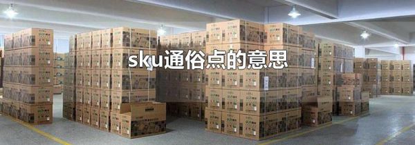 sku通俗点的意思