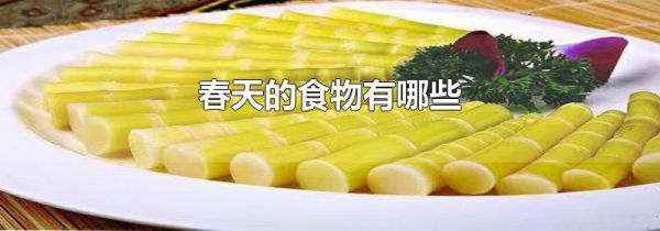 春天的食物有哪些