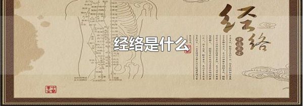 经络是什么